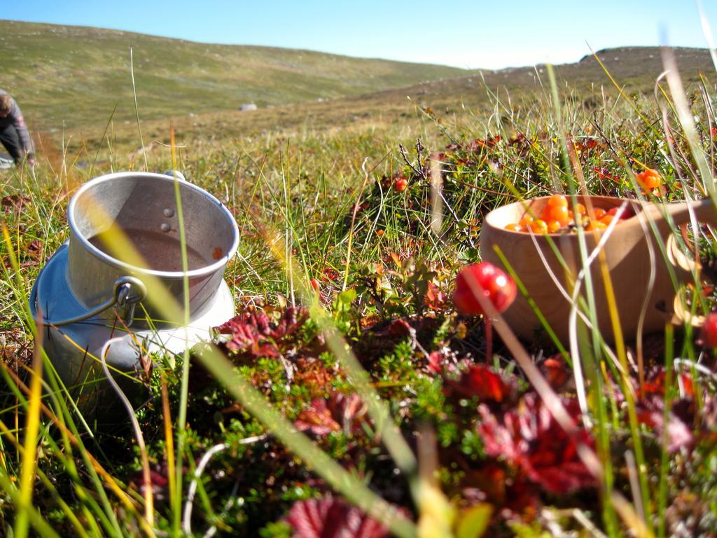 Norefjell - Storhytte Med Jacuzzi Og Fantastisk Beliggenhet Noresund Ngoại thất bức ảnh
